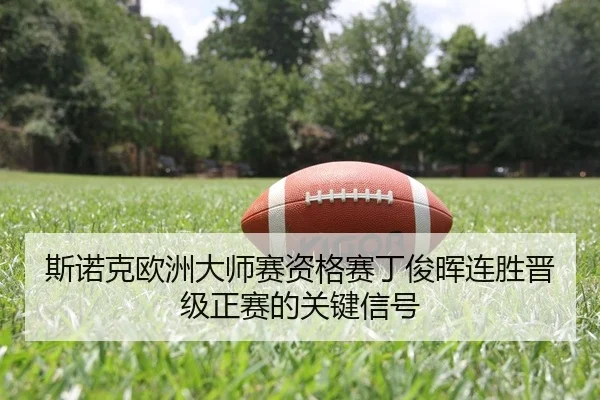 si-nuo-ke-ou-zhou-da-shi-sai-zi-ge-sai-ding-jun-hui-lian-sheng-jin-ji-zheng-sai-de-guan-jian-xin-hao-2-603.jpg
