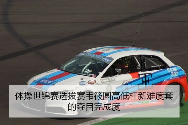 ti-cao-shi-jin-sai-xuan-ba-sai-wei-xiao-yuan-gao-di-gang-xin-nan-du-tao-de-duo-mu-wan-cheng-du-2-461.jpg
